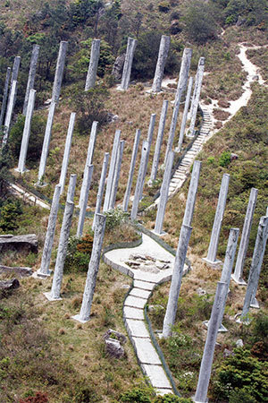 香港獲大嶼山的鳳凰神鳥保護，才過得幸福安寧。中共在2003年批准在大嶼山修建的心經簡林，卻專門用來卡住鳳凰、從而亂港。（香山夕陽提供）