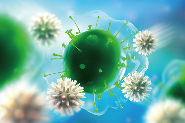 疫苗之所以能夠對抗中共病毒，是依靠人體自身的免疫系統。（Shutterstock）