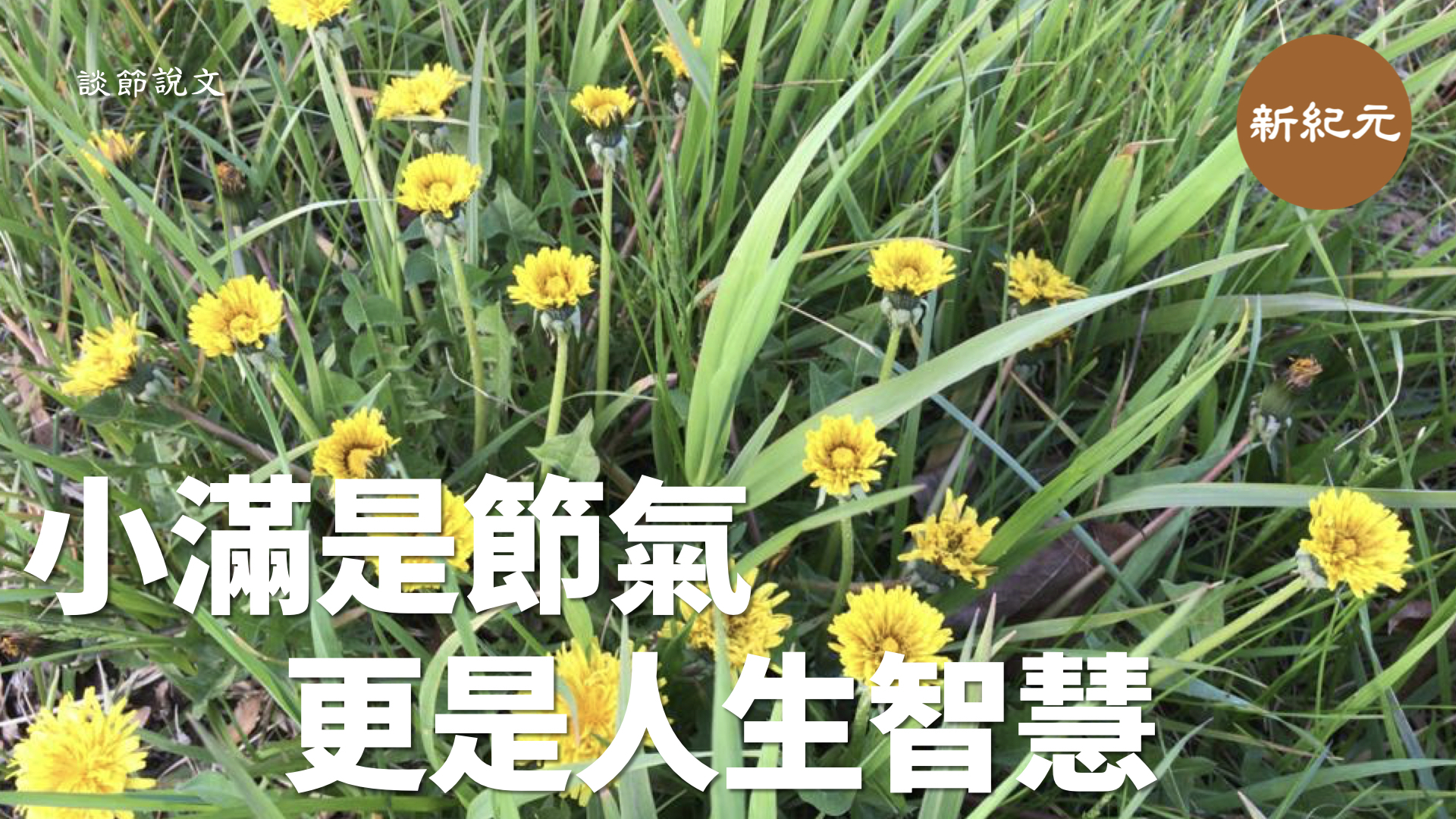 【談節說文】“小滿”是節氣  更是人生智慧（影像 第十六集上）｜ #新紀元