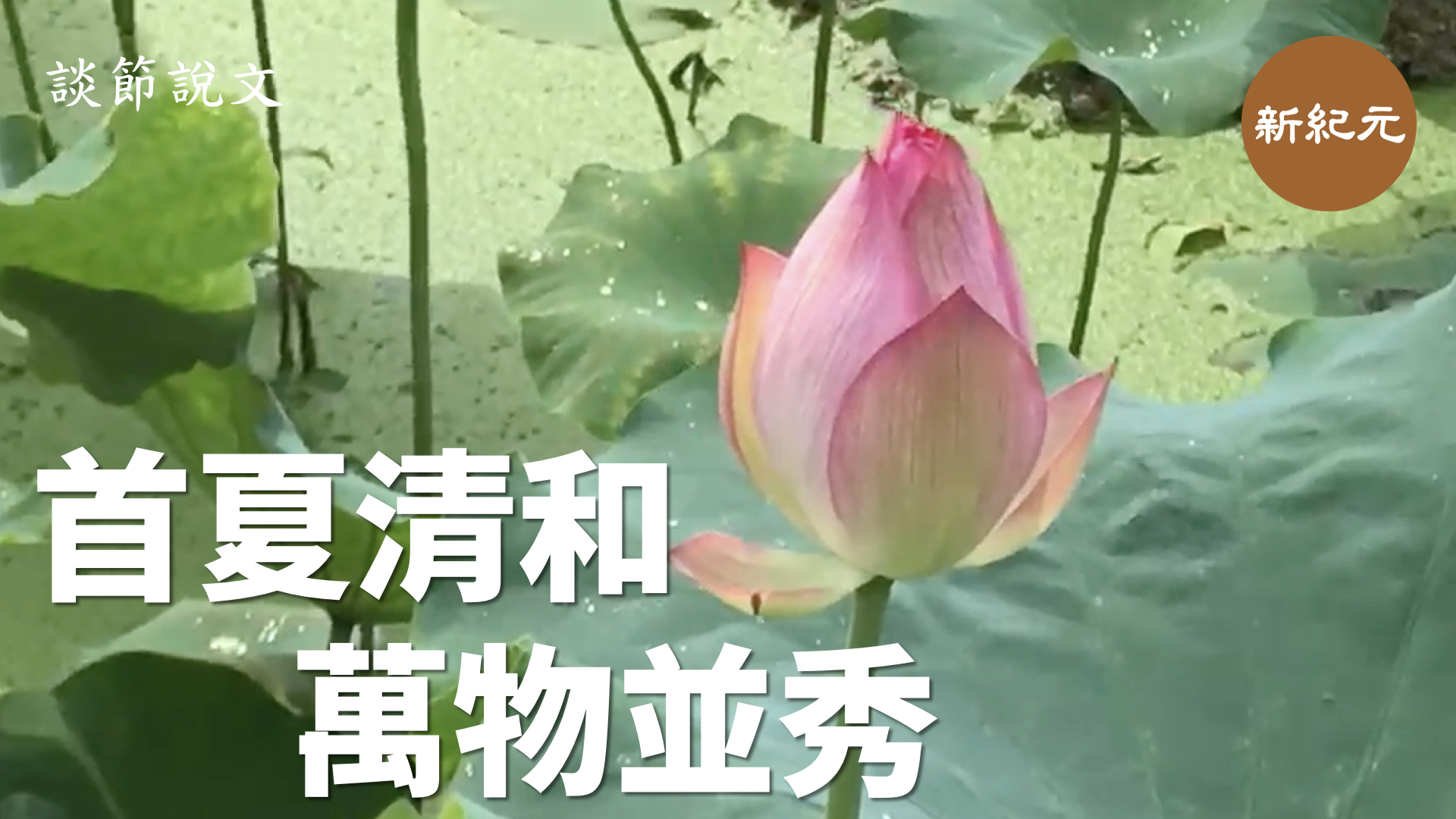 【談節說文】首夏清和 萬物並秀 （影像第十五集上）｜ #新紀元