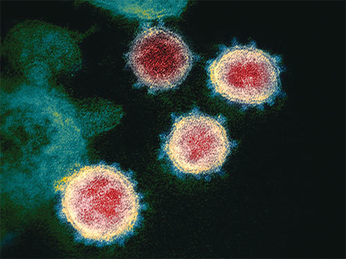 英媒：武漢病毒所七年前就發現類新冠病毒