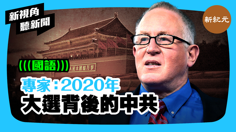 >【新視角聽新聞 #385】專家：2020年 大選背後的中共