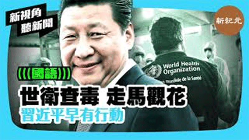 【新視角聽新聞 #403】世衛查毒 走馬觀花 習近平早有行動