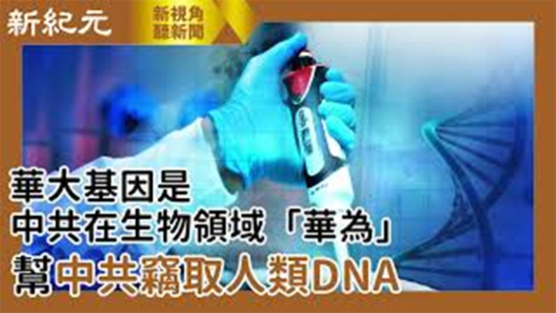 【新視角聽新聞 #519】華大基因是中共在生物領域「華為」 幫中共竊取人類DNA