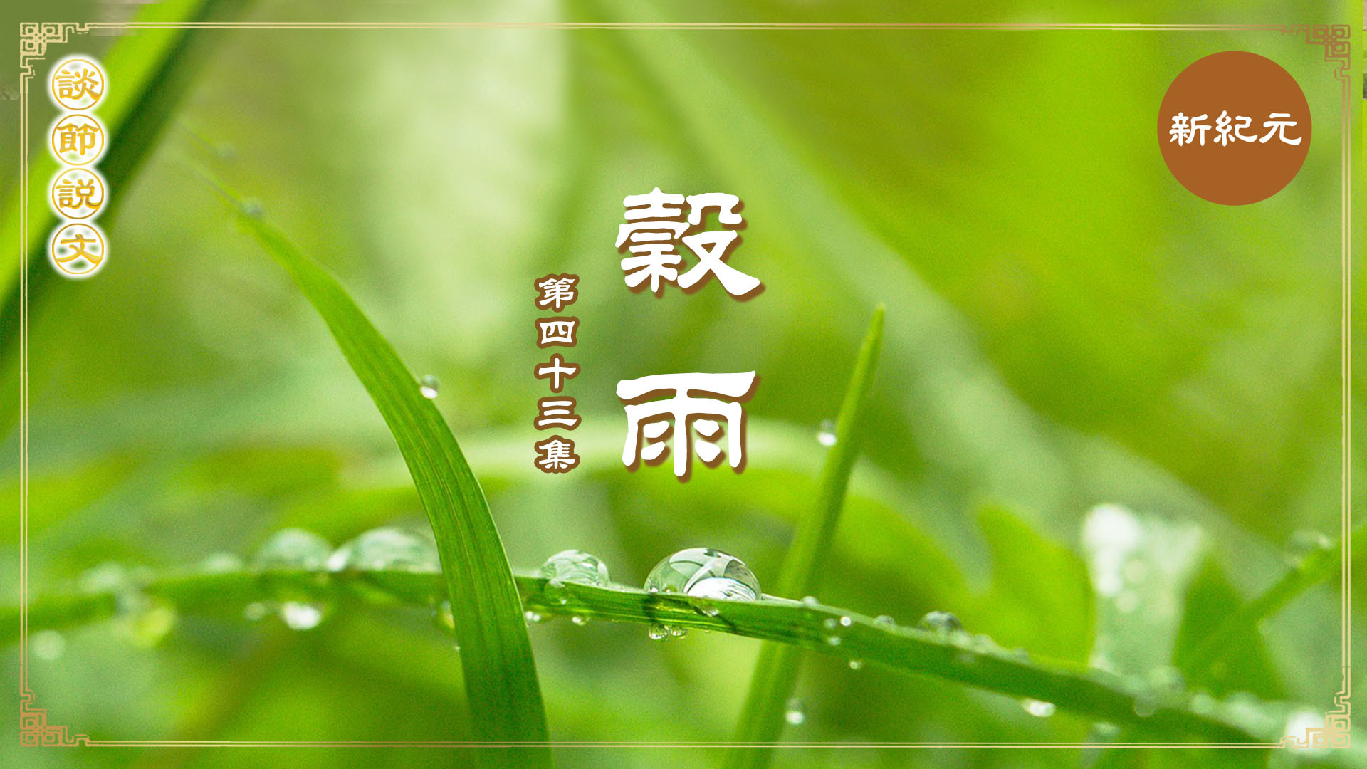 《談節說文》穀雨時節養生 健脾化濕安神（第四十三集）|#新紀元