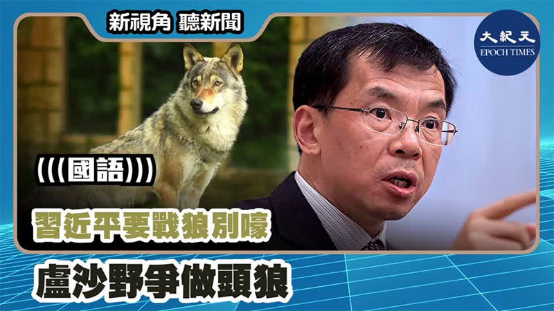 【新視角聽新聞 #1055】習近平要戰狼別嚎  盧沙野爭做頭狼