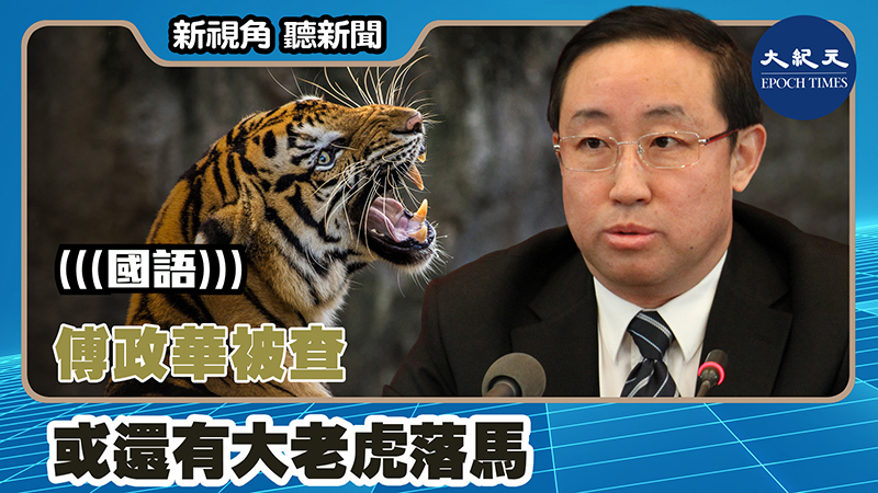 【新視角聽新聞 #1399】傅政華被查 或還有大老虎落馬