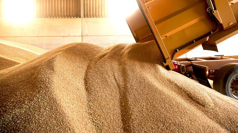 中共悄悄囤積全球一半穀物 引發外界猜測