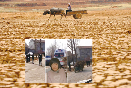 >從拐賣婦女看中國農村小共同體共犯結構