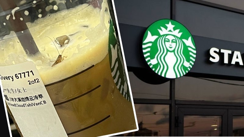 飲品現活蟑螂 星巴克在中國招打擊