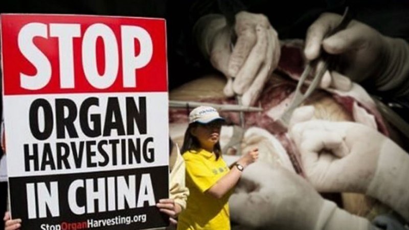 西方技術「被血腥」中共活摘多族裔器官