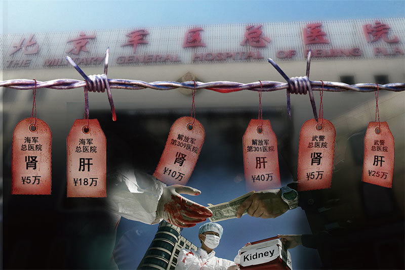 中國醫生器官移植手術「成癮」的謎思