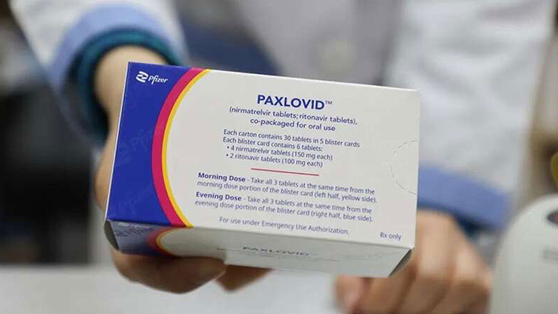 Paxlovid供應不及 弱勢絕望以命待藥
