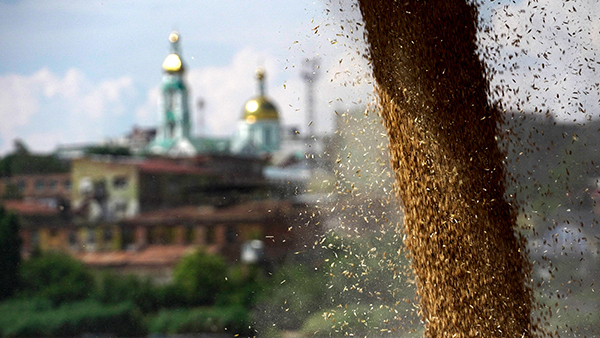 俄終止穀物協議 加劇全球糧食危機？