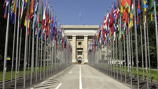 多家機構於UN人權會議 聯合譴責中共活摘器官