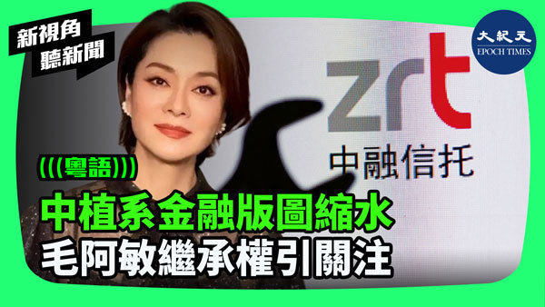 中植系金融版圖縮水  毛阿敏繼承權引關注