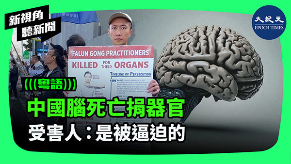>中國腦死亡捐器官 受害人：是被逼迫的