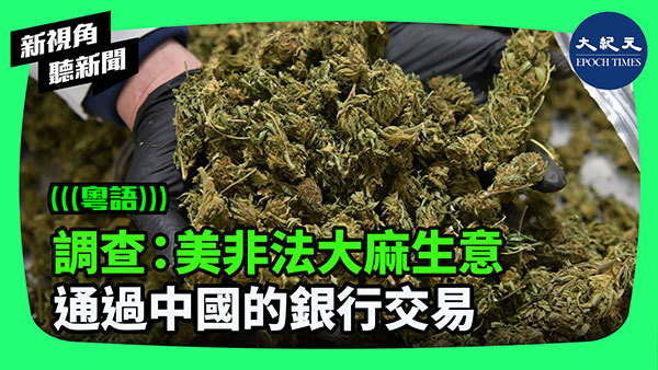 調查：美非法大麻生意 通過中國的銀行交易