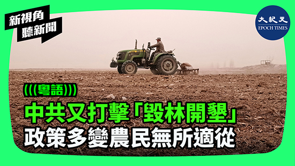 >中共又打擊「毀林開墾」政策多變農民無所適從