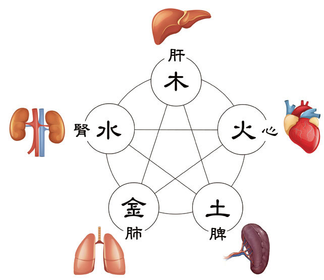 中醫藏象學說