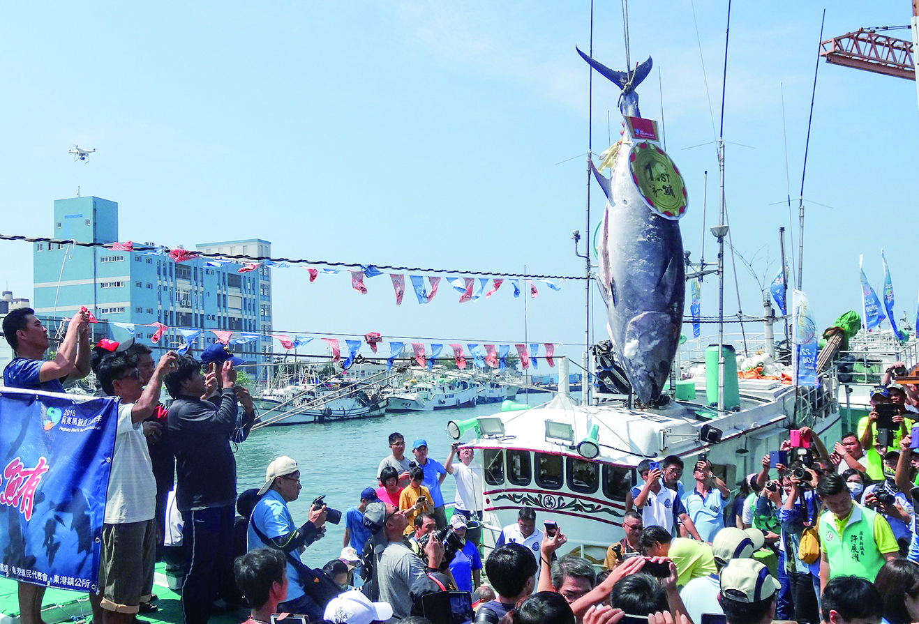 黑鮪魚觀光季 體驗漁村人文輕旅行