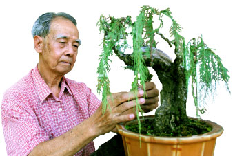 馬景壽優遊樹石天地間