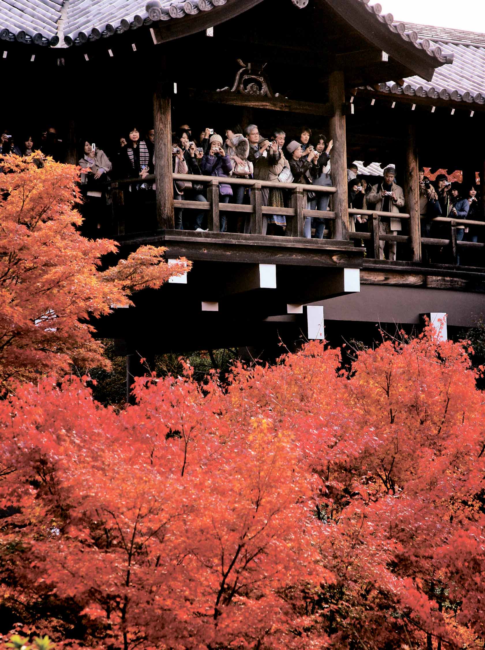 紅葉 佛像 名建築 新紀元周刊 和您攜手 共同走進新的紀元 紅葉 佛像 名建築 新紀元周刊 和您攜手 共同走進新的紀元