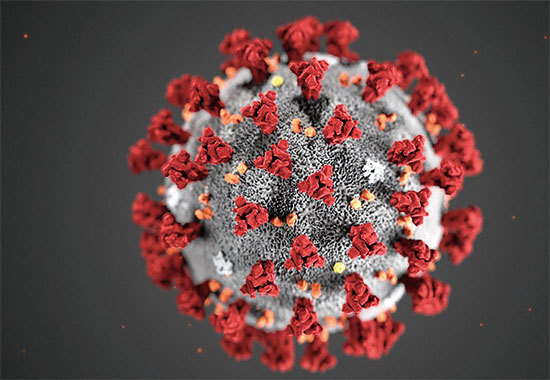 圖為「COVID-19新型冠狀病毒」三維結構圖。（CDC）