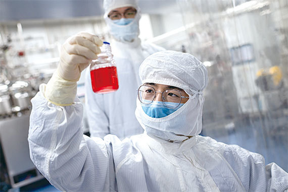 中國病毒學家閻麗夢表示中共用類似動物疫苗研發的技術來研發人類疫苗。圖為工程師在北京Sinovac生物實驗室內對猴腎細胞進行中共病毒實驗疫苗的測試。（AFP）