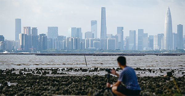 深圳之所以能比珠海、汕頭、廈門的特區搞得好，起決定性作用的是香港，可以說沒有香港，就沒有深圳。圖為從香港拍攝的深圳天際線。（AFP）