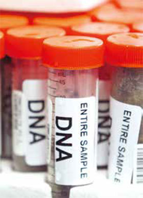 中共全國下發的文件，在各地大規模採集居民和中小學男生的血液，收集並擴充DNA數據庫。採血是可以為活摘器官提供便利條件的。（Getty Images）