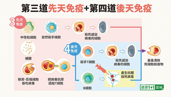 第三、四道屏障：先天免疫和後天免疫。（大紀元）