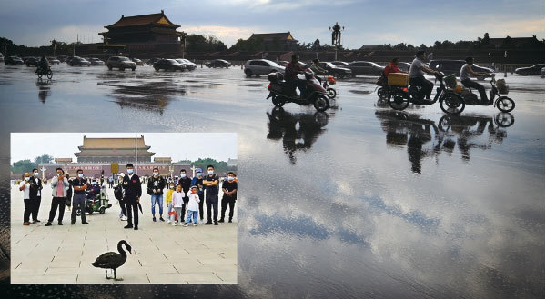 習近平今年曾特別提及要做好應對「灰犀牛」、「黑天鵝」事件的準備，未料9月5日就有一隻「黑天鵝」突然飛到北京天安門廣場，引起中國網民熱議。（新紀元合成圖）