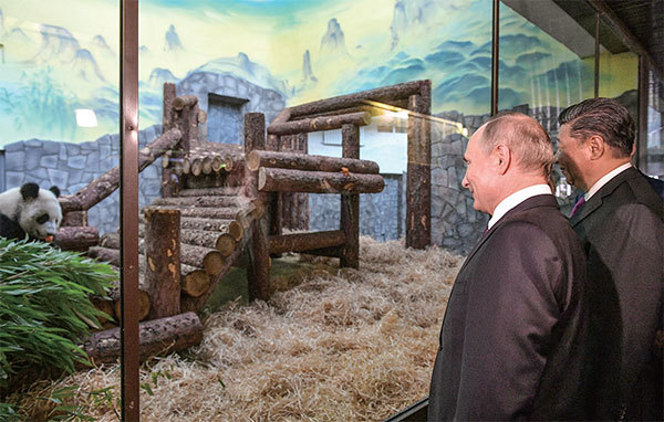 普京透過俄外長稱「中俄交好關係沒有用來對抗西方」，表態中俄並非盟友，澄清中共渲染的「不是盟友勝似盟友」的中俄關係。圖為2019年6月5日，習近平訪俄期間與普京出席莫斯科動物園熊貓館開館儀式。（Alexander Vilf / Sputnik / AFP）