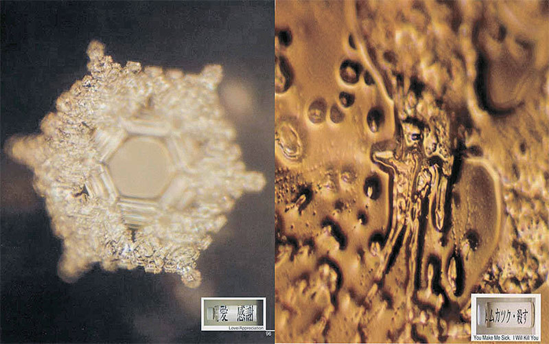 21世紀初轟動世界的水結晶形態研究顯示，萬物有靈，善惡有著客觀標準。圖為「愛和感謝」（左）與「真噁心、討厭，我要殺了你」（右）的水產生的結晶完全不同。（大紀元資料室）