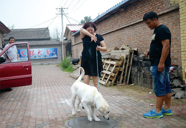 山東濟南2017年開始為狗主人實施社會信用評分制度，養寵物者如沒清理狗糞便，或遛狗時沒讓狗兒拴上皮帶，都會被扣分。（AFP）