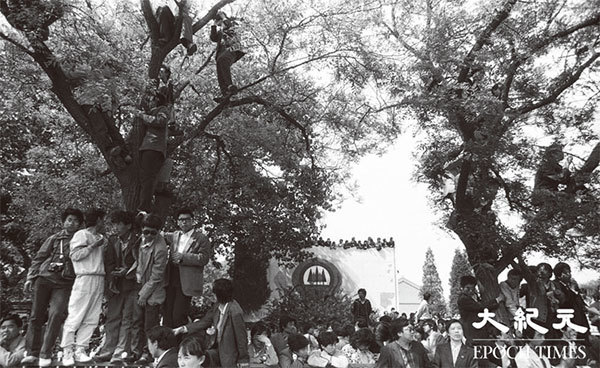 遊行的學生實在太多，有人就爬到樹上、牆上圍觀。