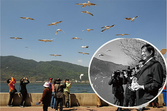 2012年王立軍事件爆發後，深陷危機的薄熙來到雲南「考察交流」，並在滇池餵海鷗。當時陪同薄熙來的官員多已出事，其中就包括秦光榮。（新紀元合成圖）