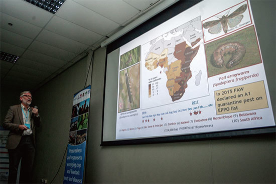 草地貪夜蛾是聯合國糧農組織（FAO）全球預警的重要的農業害蟲。圖為2017年2月14日國際專家在聯合國緊急會議介紹非洲的草地貪夜蛾蟲害。（AFP）