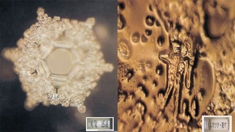 日本科學家江本勝博士的水結晶實驗證明：水完全能夠看、聽、感受並接收人和周圍環境給它的各種信息，出現相對應的不同水結晶。（大紀元資料室）