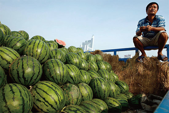 北京新發地果品批發市場近三個月的水果價格連續上漲，5月中旬一周的漲幅達到10％，目前價格與中國新年前比較，總體漲幅在50％以上。（AFP）